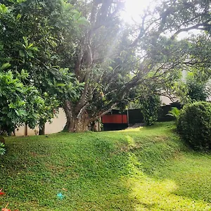 47 Alfred House - Free Pickup From Frühstückspension Kandy